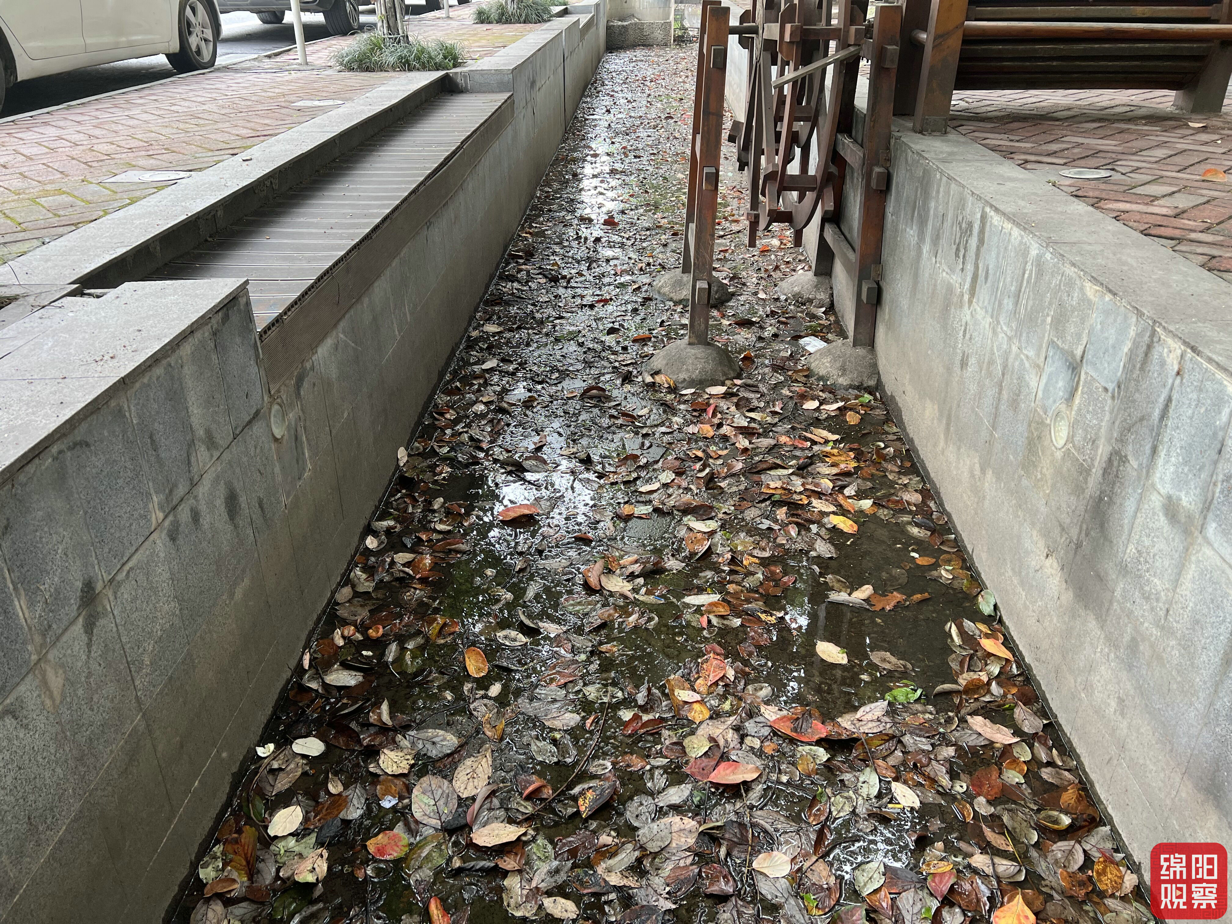 绵观辣1度(76)|景观渠变臭水沟!商家"关起门"做生意