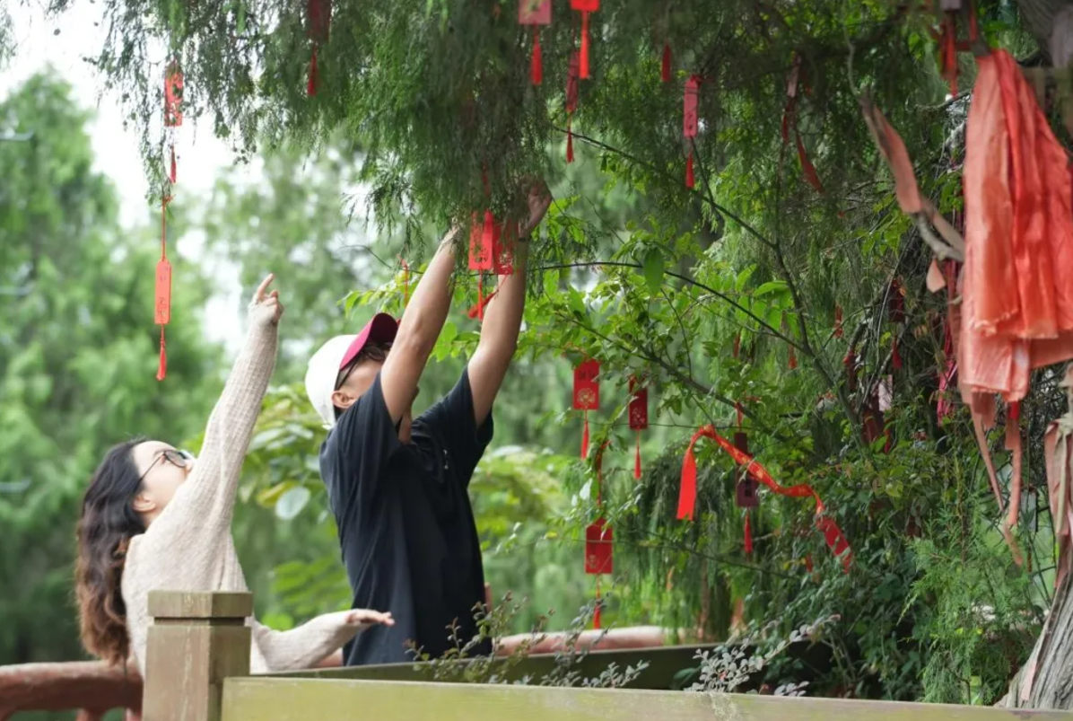 QQ截图20241120110751.png