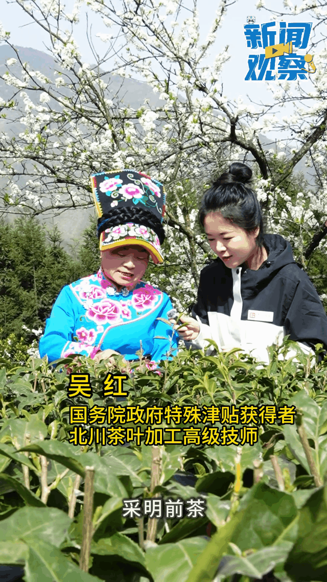 新2.gif