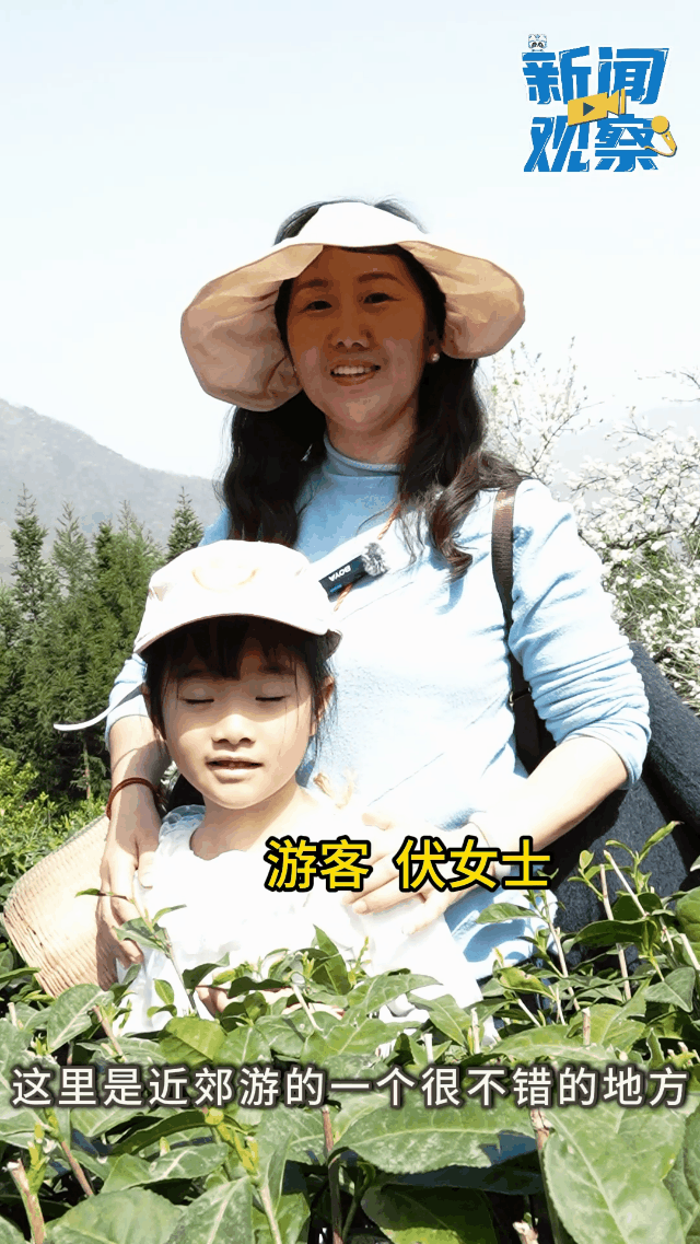 新3.gif