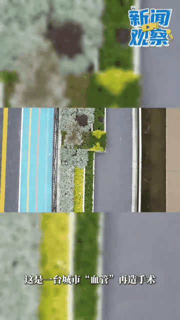 d1.gif