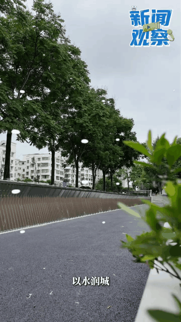 d4.gif